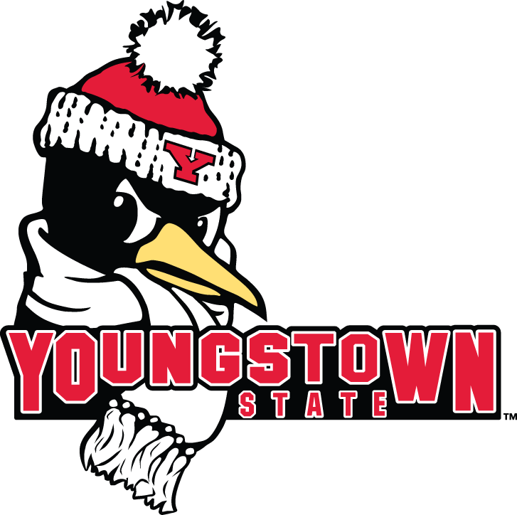 Youngstown State Penguins 2006-Pres Secondary Logo DIY iron on transfer (heat transfer)